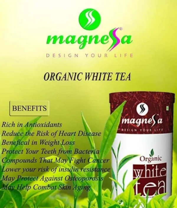 Magnessa Organic White Tea 50g - Image 2