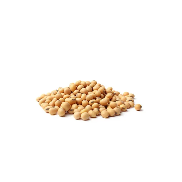 Soya Bean Seeds 1kg