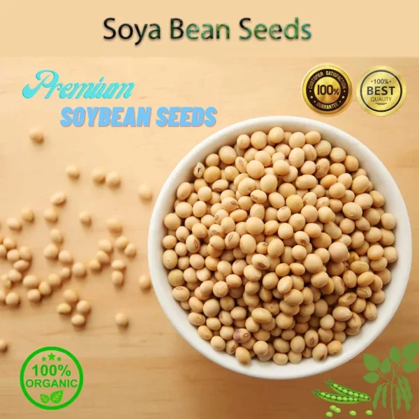 Soya Bean Seeds 1kg - Image 2