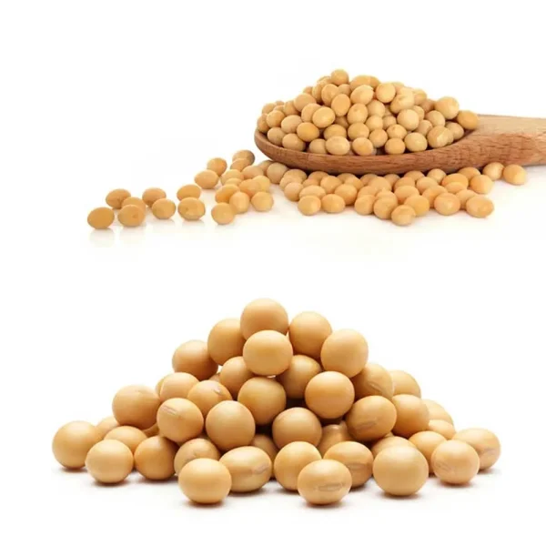 Soybean Seeds Premium Quality 1kg