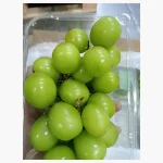 Green Grapes (Angur Fol) Imported 1kg